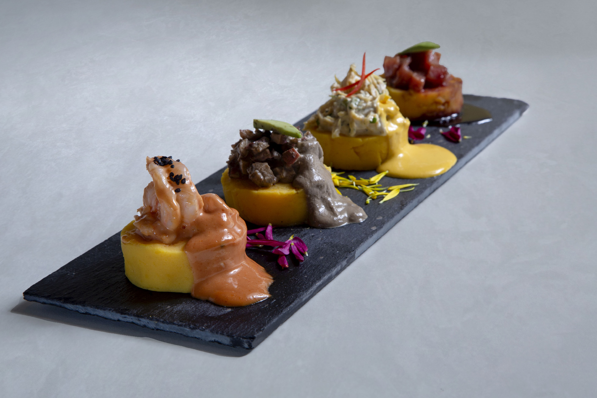 Degustación de causas